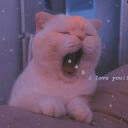 _you_are_my_heart_