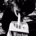 w1nssnt