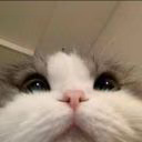 ambrobeme