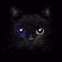 Enni_Yash