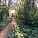 Svtlana_you