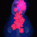 Meydemon1236