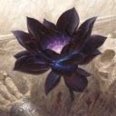 Black_Lotus24
