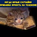 LizaFuDFeKSaidemShad