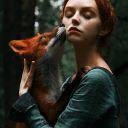 Gold-Fox