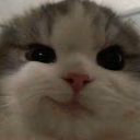 alionakuzx