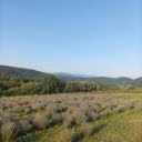 Vovanchello