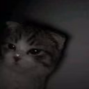 DarknesS_Lost