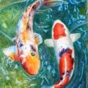 LamiKoy