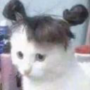 kimakimarinka