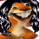 belkaarad