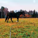 Dina17122003