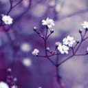 user26145155
