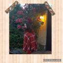 Nelly1234321