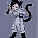 qwerty_cat