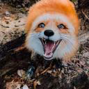_weewuur_