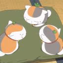 ImShachi