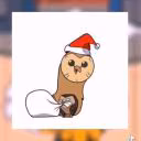 zlatyca_12345687