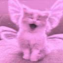 julia_cat00