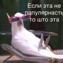 Dazai_Copy