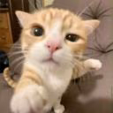 Py6uH_CmepTu