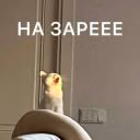 eeeeeniya