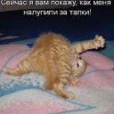 psina_typaya66203962