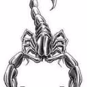 Skorpion3377