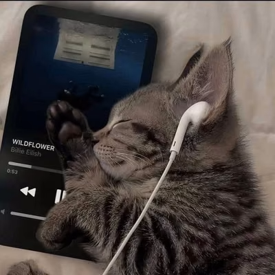 Meowww