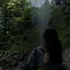 The black butterfly