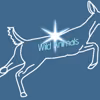 Wild animals