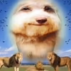 Bashich