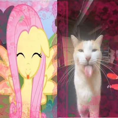 Fluttershy