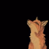 Ночной_0_Лис