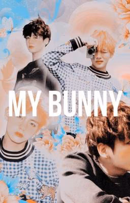 my bunny ^Vkook|Twitter|Omegaverse|