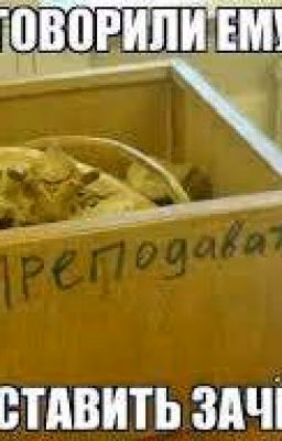 Приколы со школы