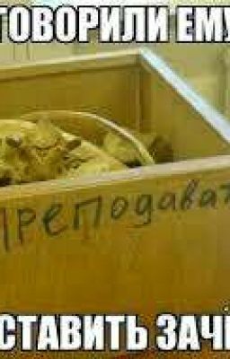 Приколы со школы