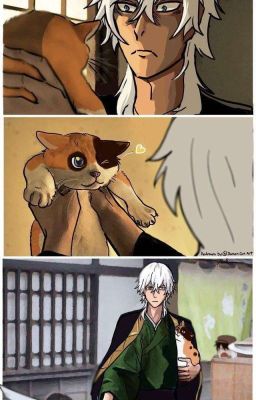 Реакция бродячих псов на т/и