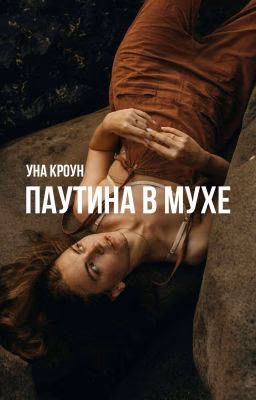 Паутина в мухе