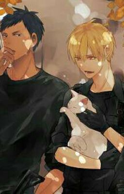 Баскетбольный альянс  