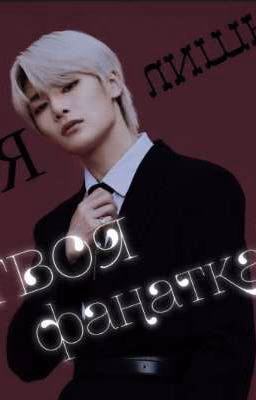 [SKZ]  Я лишь твоя фанатка!