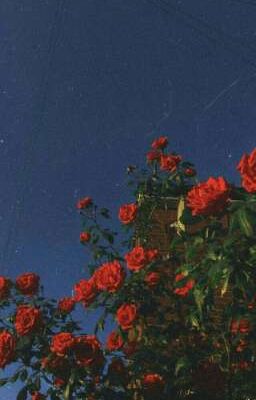 Отъебался СКОТТ. (Завершён)