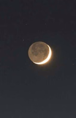 Moon for wolf