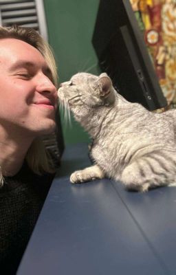 ₊˚⊹♡Аρᴛёʍ Կᥱρныɯ᧐ʙ ᥙ Т/ᥙ♡⊹˚₊