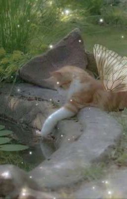 Этот котёнок...