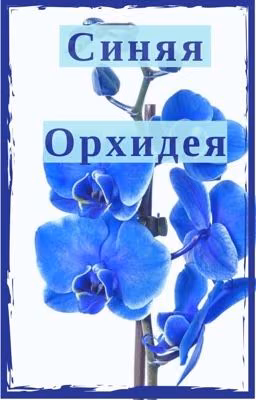 Синяя Орхидея