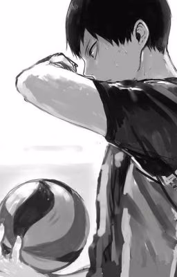 История двух волейболистов. (haikyuu)   [Завершён]