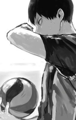 История двух волейболистов. (haikyuu)   [Завершён] 