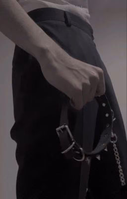 Университет for perverts (для извращенцев)