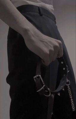 Университет for perverts (для извращенцев)